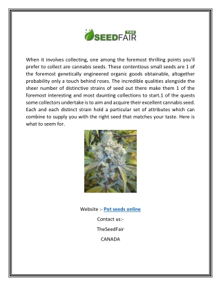 Pot Seeds Online | Theseedfair.com