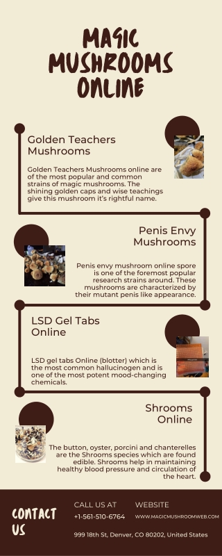 Buy Penis Envy Mushroom Online from Magic Mushroom Web