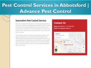 Pest control Abbotsford