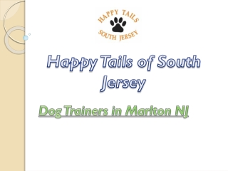 The Best and Professional Dog Trainers in Marlton NJ
