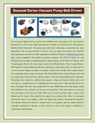 Duoseal Series Vacuum Pump Belt Driven