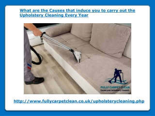 What are the Causes that induce you to carry out the Upholstery Cleaning Every Year