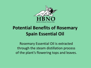 Potential Benefits of Rosemary Spain Essential Oil