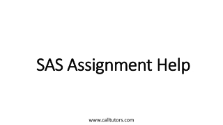 SAS Assignment Help