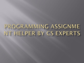 Programming Assignment Helper By CS Experts