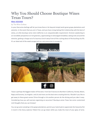 Best Wine Travel blog website | Thewinescribes.com