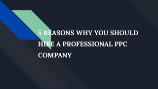 5 REASONS WHY YOU SHOULD HIRE A PROFESSIONAL PPC COMPANY