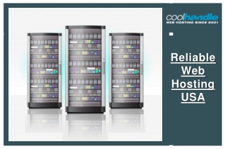 Reliable Web Hosting USA