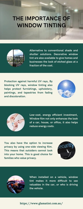 The Importance of Window Tinting - Infographic