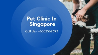 Clinic For Pets In Singapore