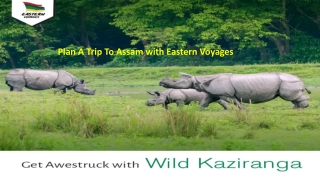 Plan A Trip To Assam with Eastern Voyages