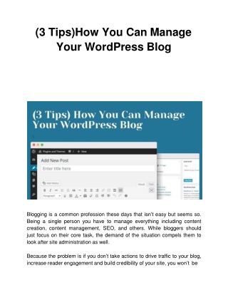 (3 Tips)How You Can Manage Your WordPress Blog