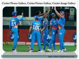 Cricketnmore gives you Free Cricket Images and Cricket Image Gallery