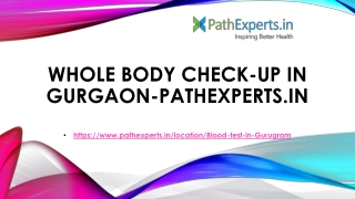 Whole Body Check-up in Gurgaon-Pathexperts.in