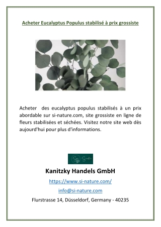 Acheter Eucalyptus Populus stabilisé à prix grossiste