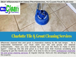 Best Reasons for Using Professional to Clean Your Tiles and Grout