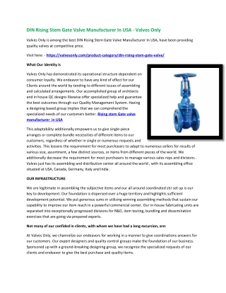 DIN Rising Stem Gate Valve Manufacturer In USA - Valves Only