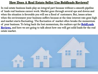 How Does A Real Estate Seller Use Boldleads Reviews?