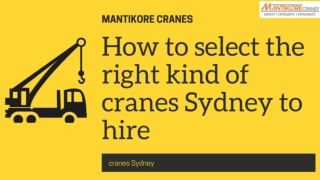How to select the right kind of cranes Sydney to hire