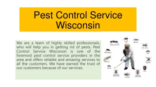 How to Avail Best Pest Control Services Wisconsin?