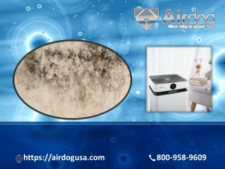 Air Puifier for Mold comes with multi-stage filtration and child lock feature | Airdog USA
