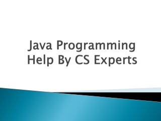 Java Programming Help By CS Experts