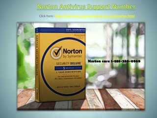 Norton Antivirus Support Number