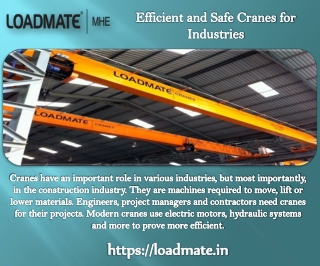 Safe Cranes for Industries LOADMATE