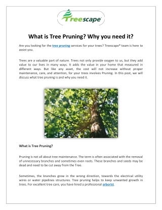 What is tree pruning? Why you need it?