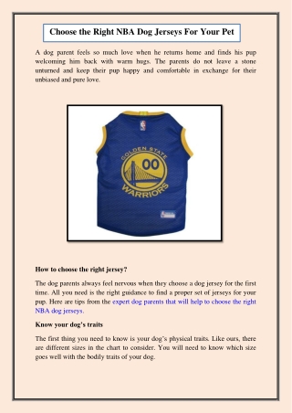 Choose the Right NBA Dog Jerseys For Your Pet