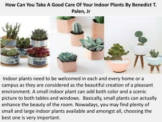 How Can You Take A Good Care Of Your Indoor Plants By Benedict T. Palen, Jr