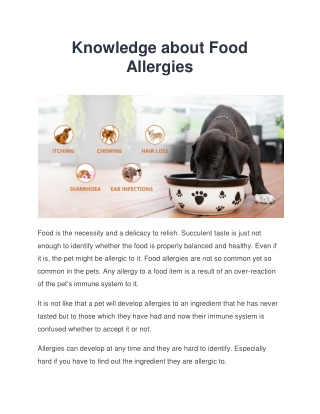 All you need to know about food allergies in dogs