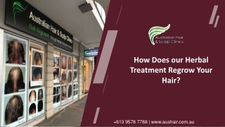 How Does our Herbal Treatment Regrow Your Hair?
