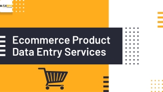 What Does Ecommerce Product Data Entry Services Meant For The Ecommerce Industry?