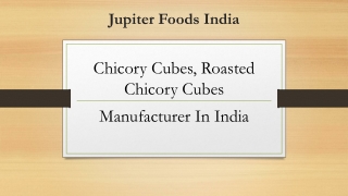 Chicory Cubes, Roasted Chicory Cubes Manufacturer In India