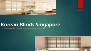 Affordable Korean Blinds for Window Decor