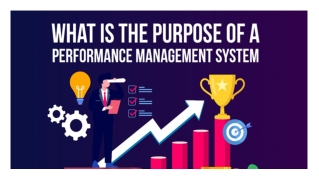 What is the purpose of a performance management system?