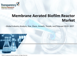 Membrane Aerated Biofilm Reactor Market - Global Industry Analysis, Size, Share, Growth, Trends, and Forecast, 2019 - 20