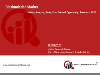 Biosimulation Market | Global Industry Size, Share, and Forecast to 2025 | COVID-19 Imapct Analysis