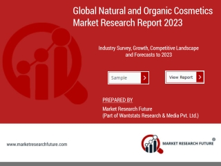 Natural and Organic Cosmetics Market Product scope and Forecast 2023