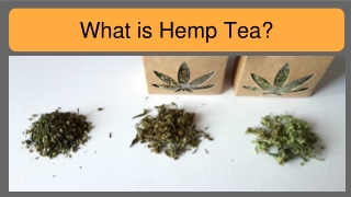 Hemp Tea