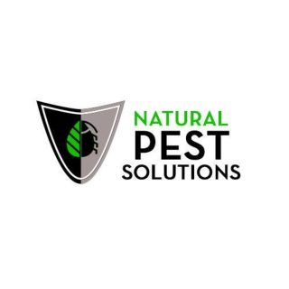 Pest Control Apache Junction