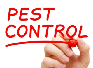 Pest Control Scottsdale