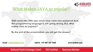 What Makes Java So Popular