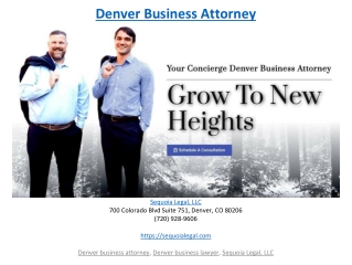 Denver Business Attorney