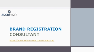 Brand Registration Consultant