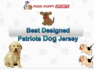 Best Designed Patriots Dog Jersey