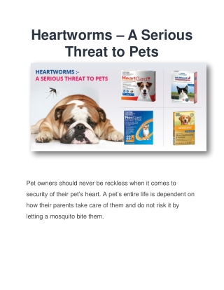 Heartworms – A Serious Threat to Pets