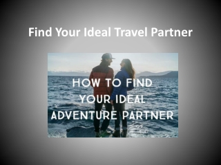 Find Your Ideal Travel Partner