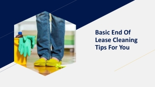 Basic End Of Lease Cleaning Tips For You